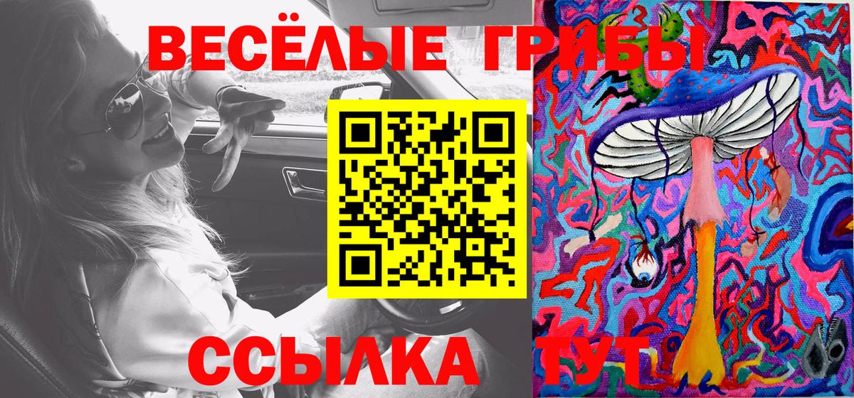 Галлюциногенные грибы Psilocybine cubensis Майкоп